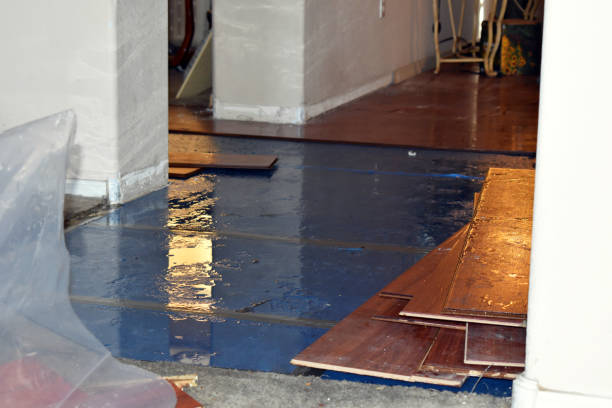 Professional Water Damage Restoration technician working in Kamrar, IA